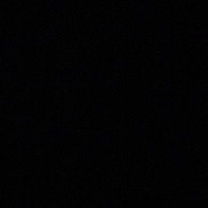 Meet your Posher, Laila